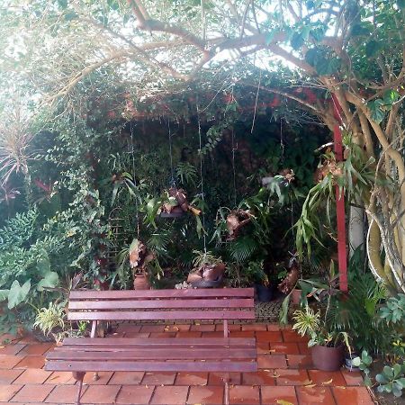 Aloha Hostel كابو فريو المظهر الخارجي الصورة